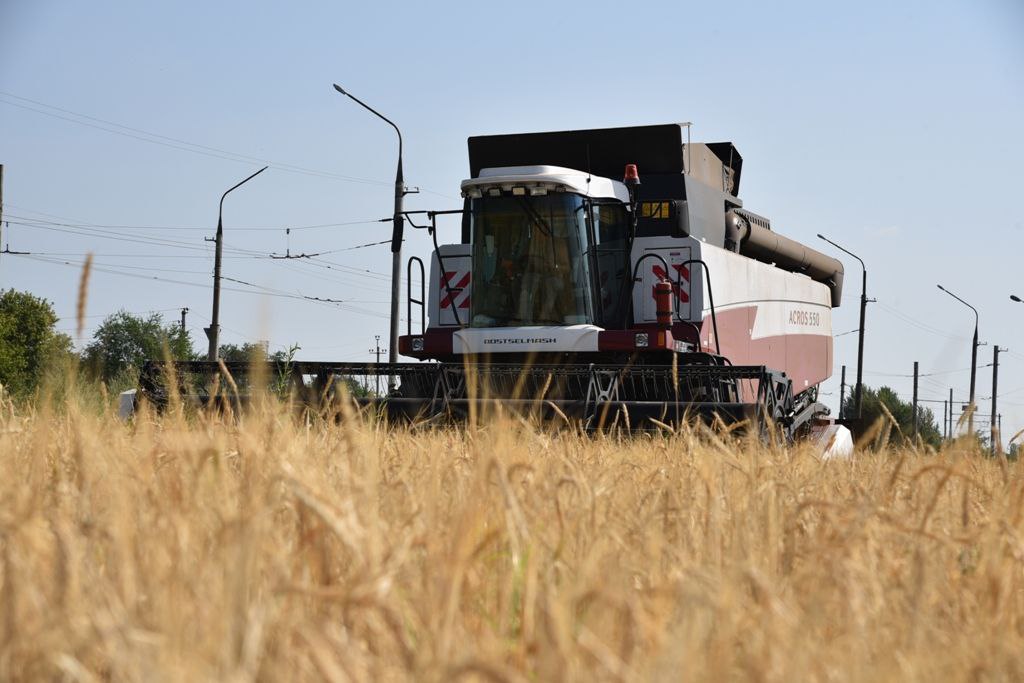 Балаковские аграрии собрали первые 100 тысяч тонн зерна